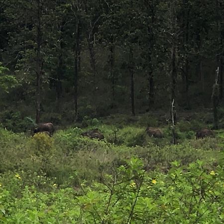 Lotus Jewel Forest Camping Sultan Bathery Eksteriør bilde
